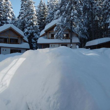 Saint George Holiday Village Borovets Exteriör bild