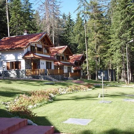 Saint George Holiday Village Borovets Exteriör bild