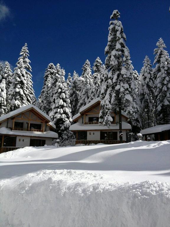 Saint George Holiday Village Borovets Exteriör bild