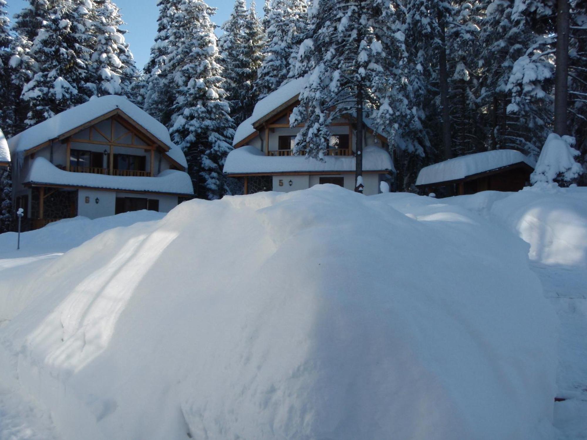 Saint George Holiday Village Borovets Exteriör bild