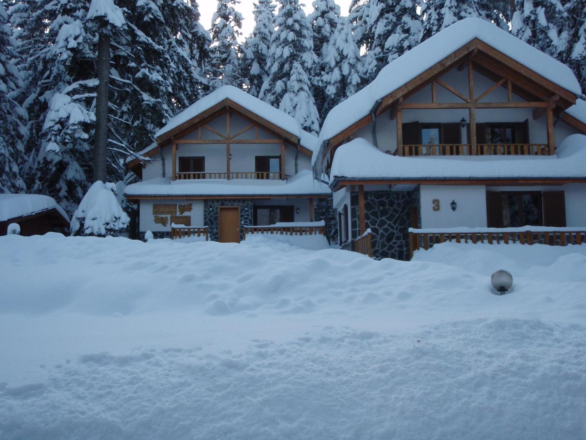 Saint George Holiday Village Borovets Exteriör bild