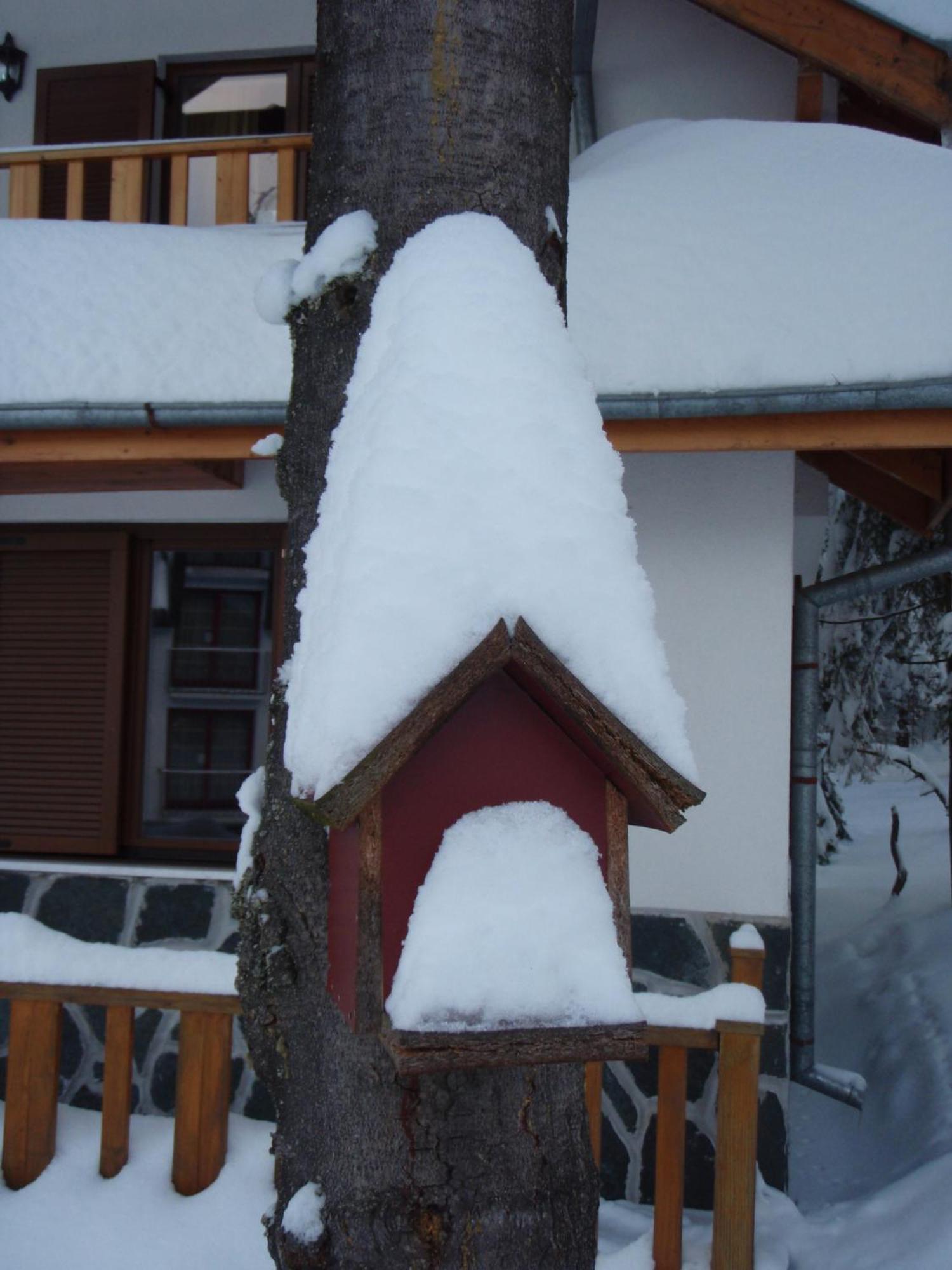 Saint George Holiday Village Borovets Exteriör bild