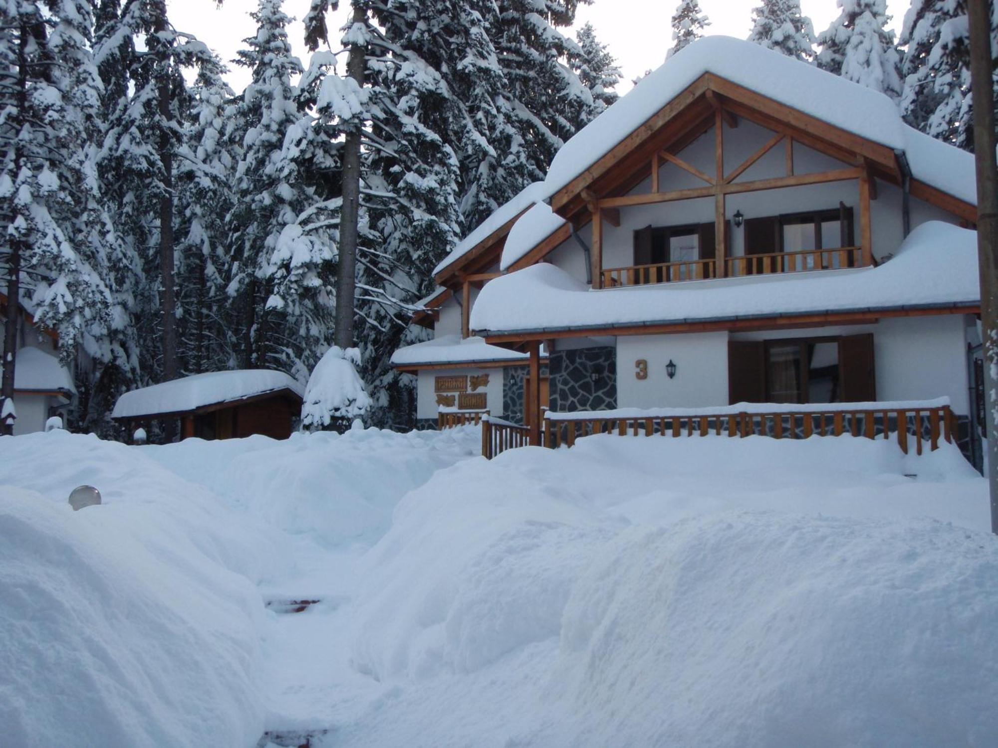 Saint George Holiday Village Borovets Exteriör bild