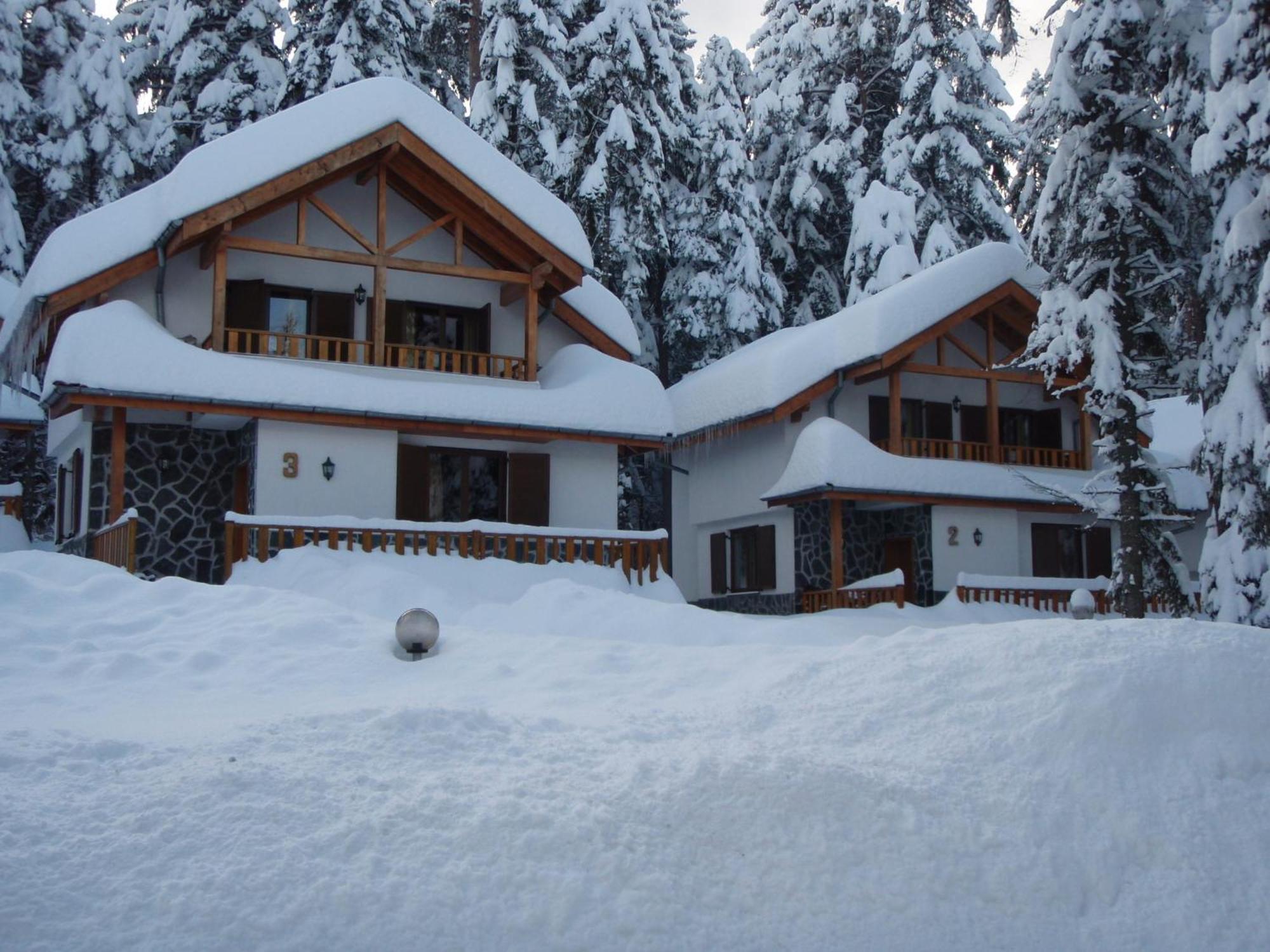 Saint George Holiday Village Borovets Exteriör bild