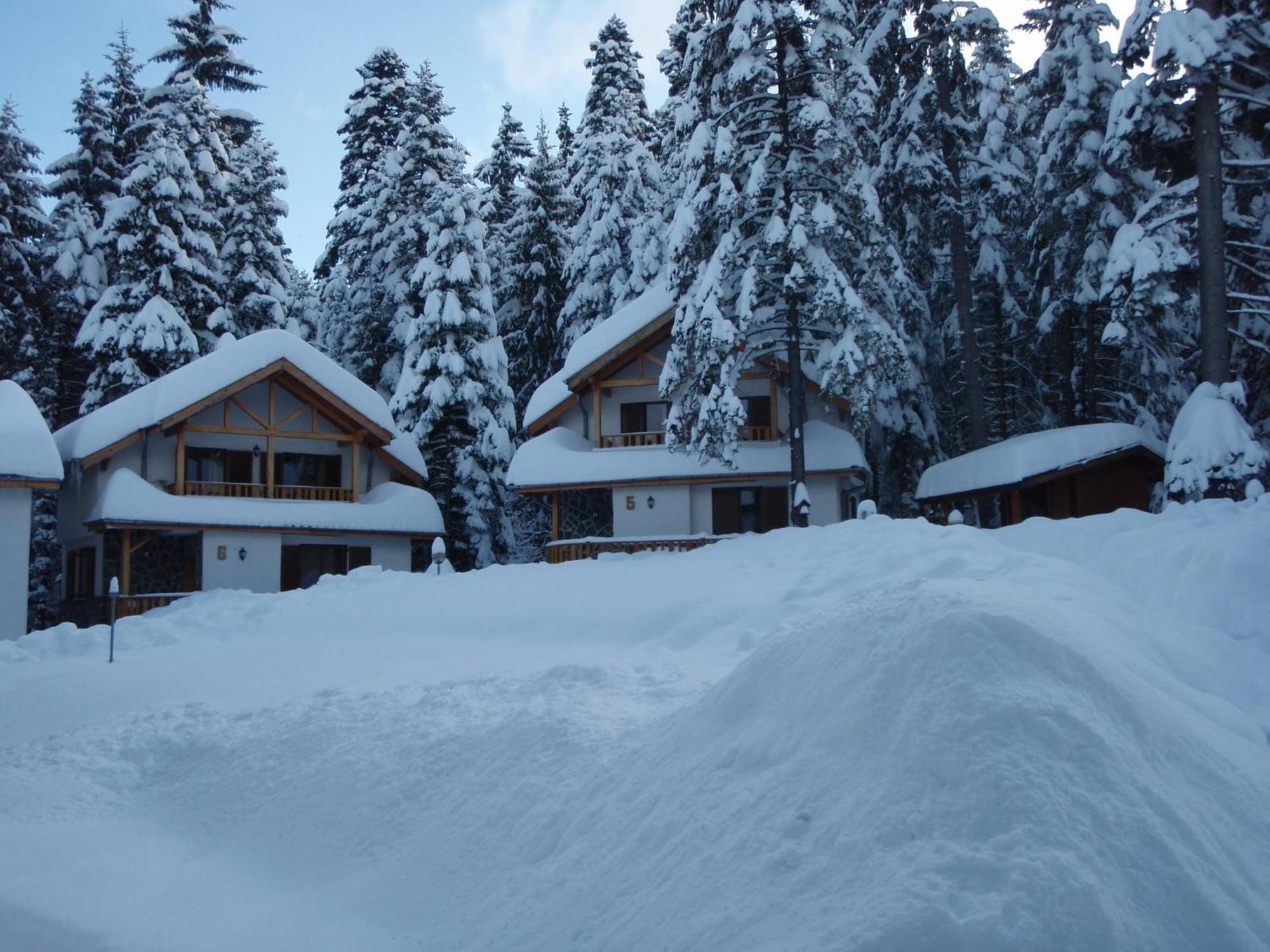 Saint George Holiday Village Borovets Exteriör bild