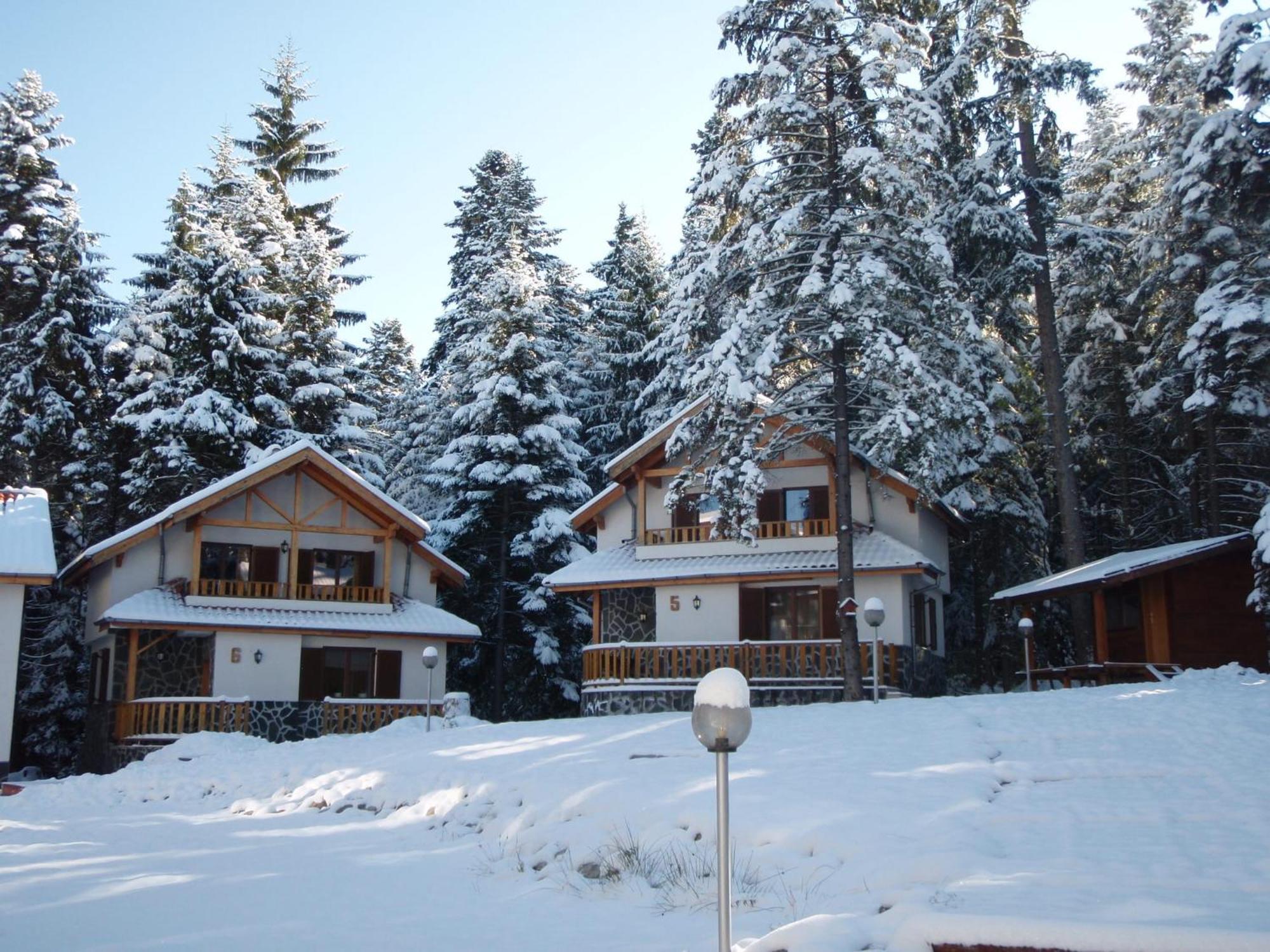 Saint George Holiday Village Borovets Exteriör bild